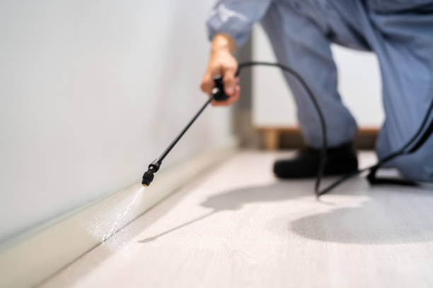 Licensed Termite Control service in Willow Creek, CA - Nex Pest Control