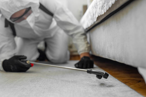 Professional Termite Control technician working in Willow Creek, CA