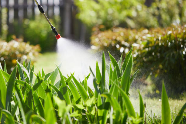 24/7 Emergency Termite Control experts in Willow Creek, CA