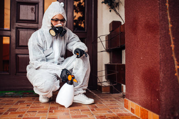 Reliable Termite Control contractor in Willow Creek, CA by Nex Pest Control