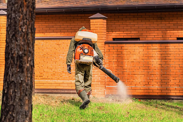 Trusted Bed Bug Control service in Willow Creek, CA - Nex Pest Control